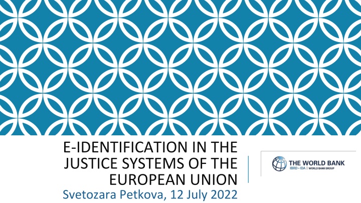 e identification in the justice systems