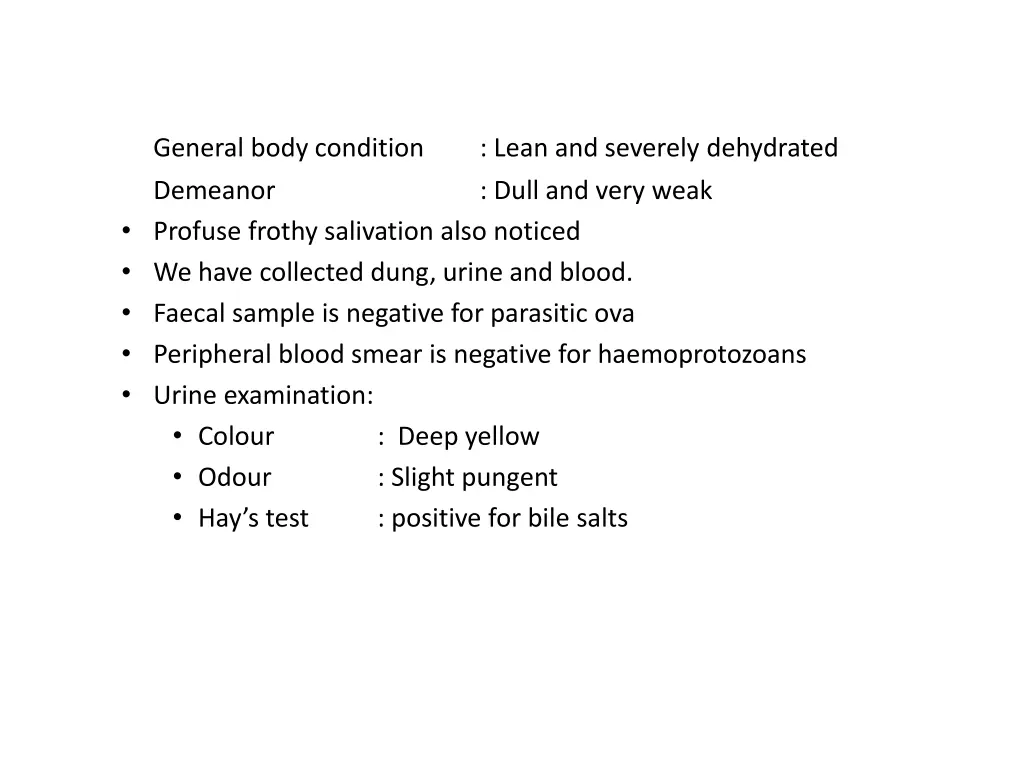 general body condition demeanor profuse frothy