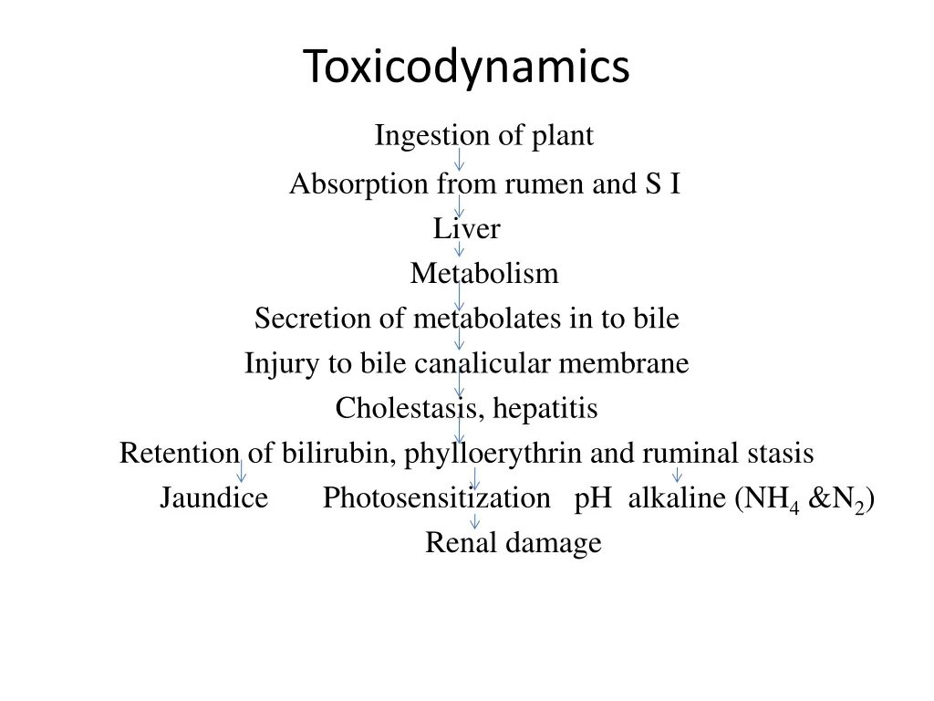 toxicodynamics