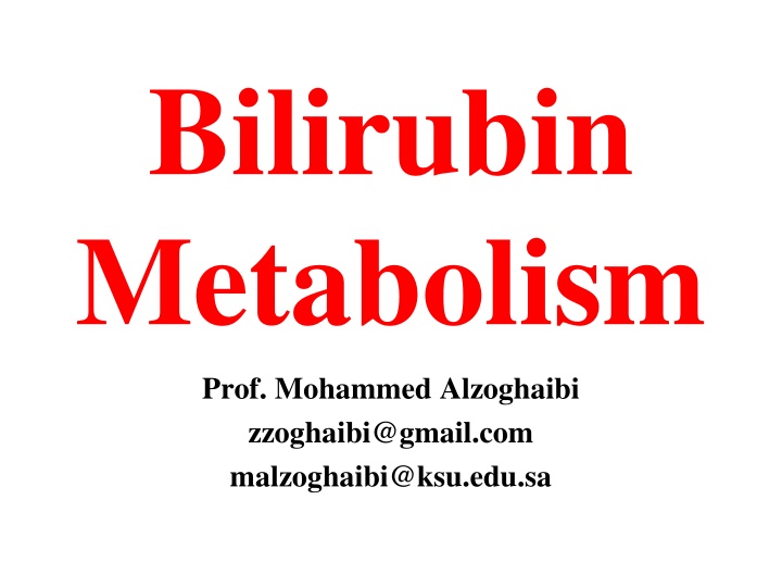 bilirubin metabolism