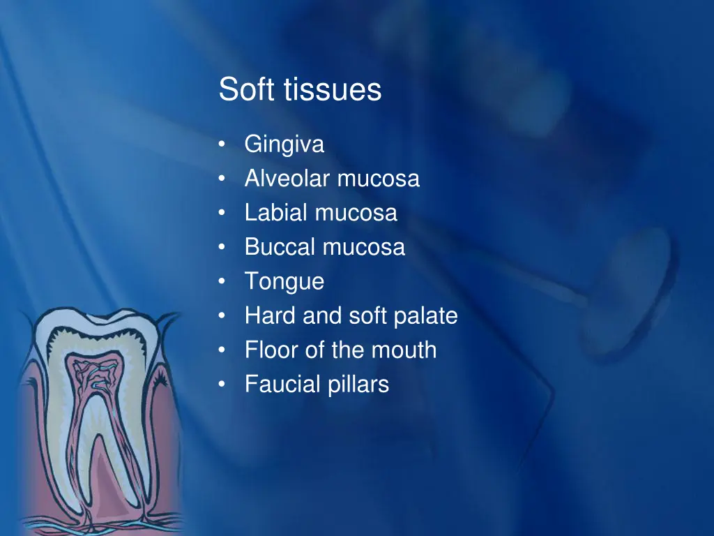 soft tissues