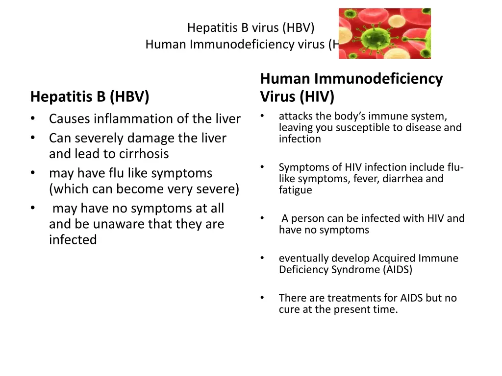 hepatitis b virus hbv human immunodeficiency