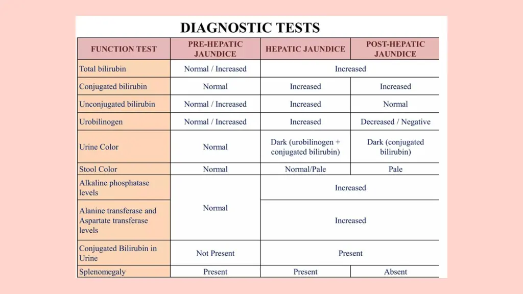 slide13