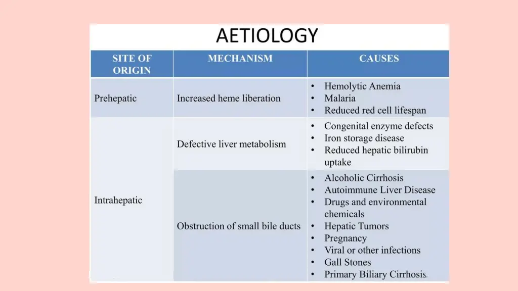 slide8