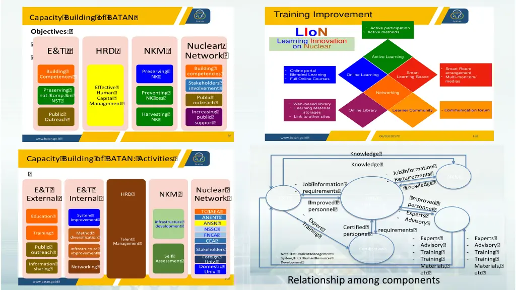 training improvement lion learning innovation