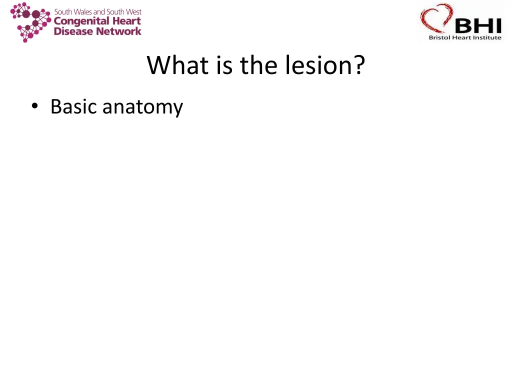 what is the lesion