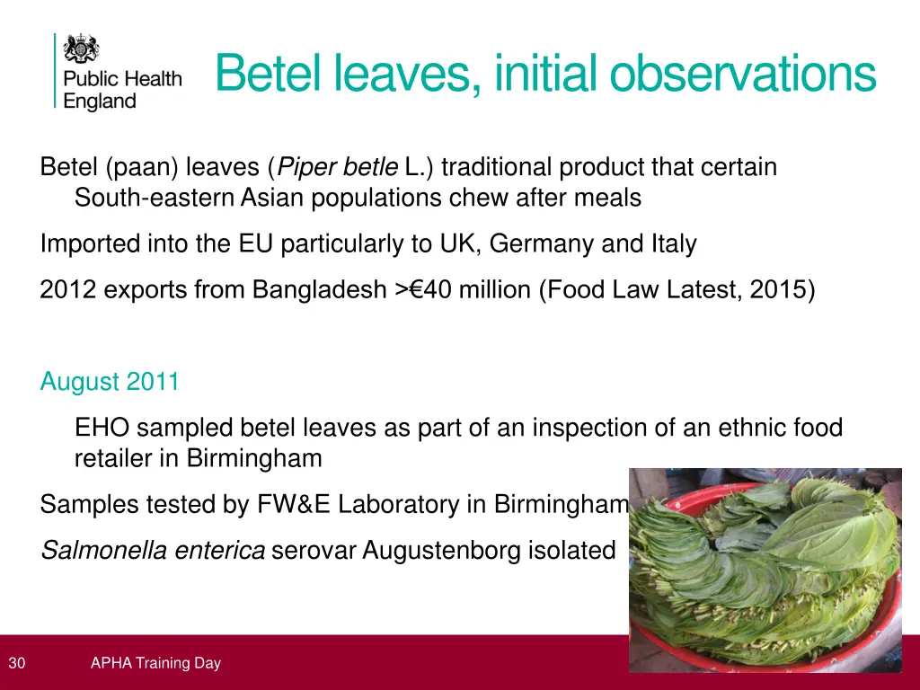 betel leaves initial observations