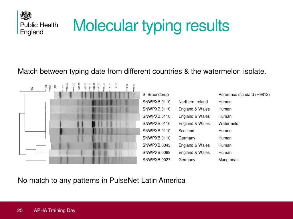 molecular typing results