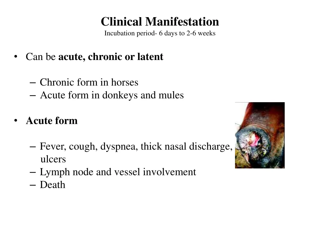 clinical manifestation incubation period 6 days