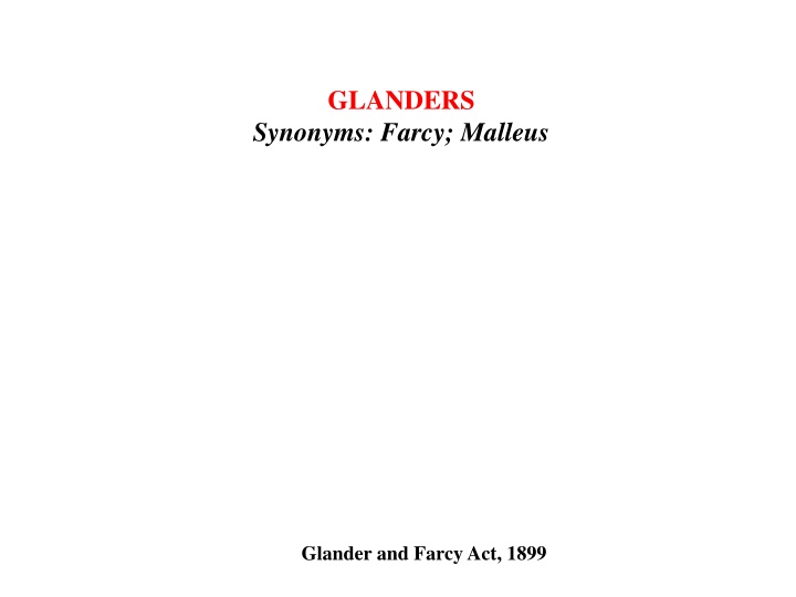glanders synonyms farcy malleus