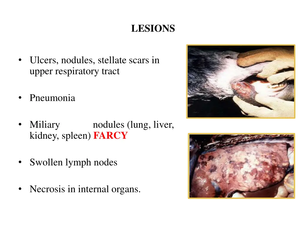 lesions