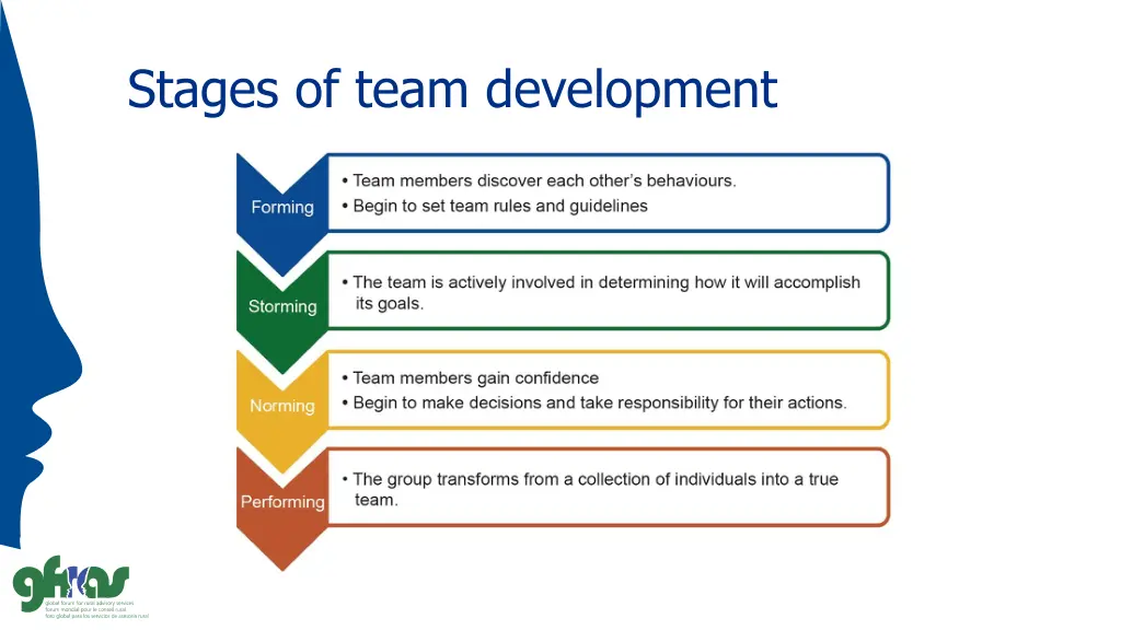 stages of team development