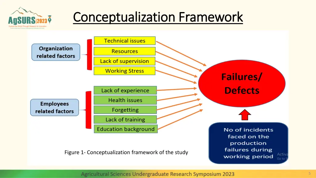 conceptualization framework conceptualization