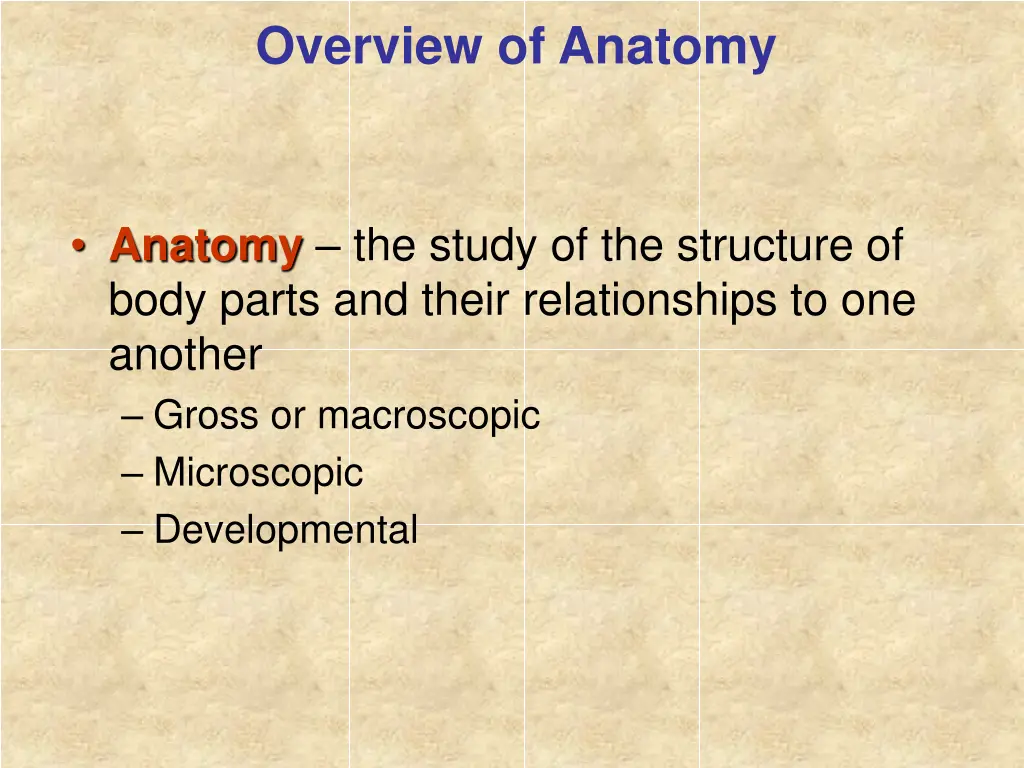 overview of anatomy