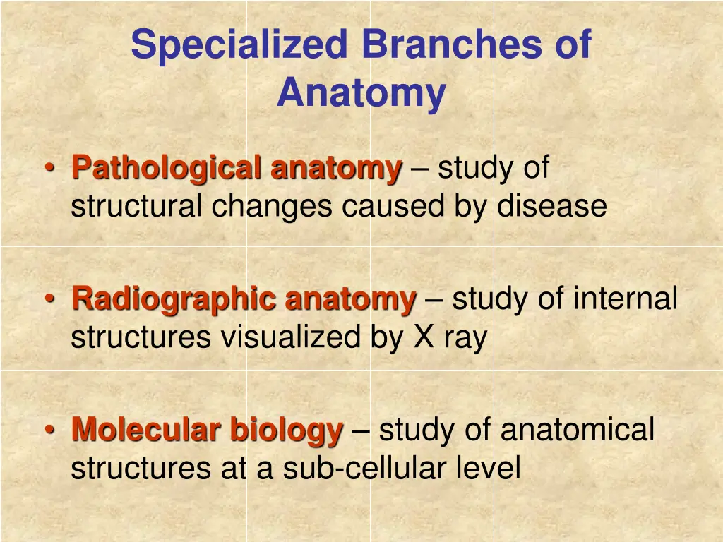 specialized branches of anatomy