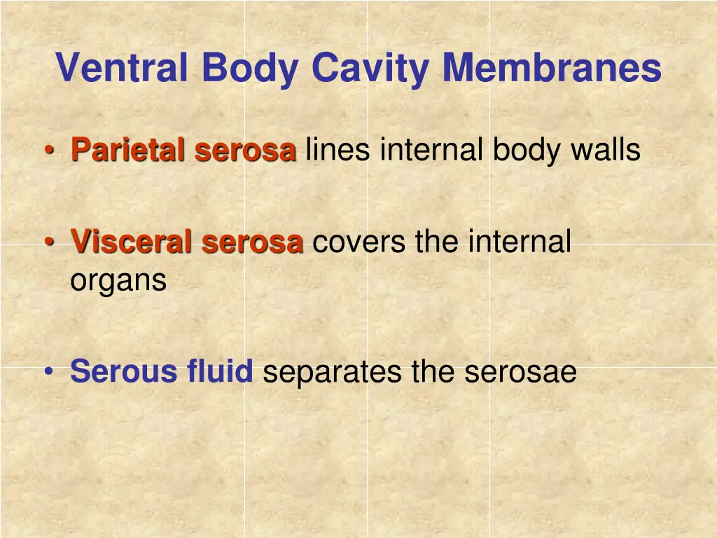 ventral body cavity membranes