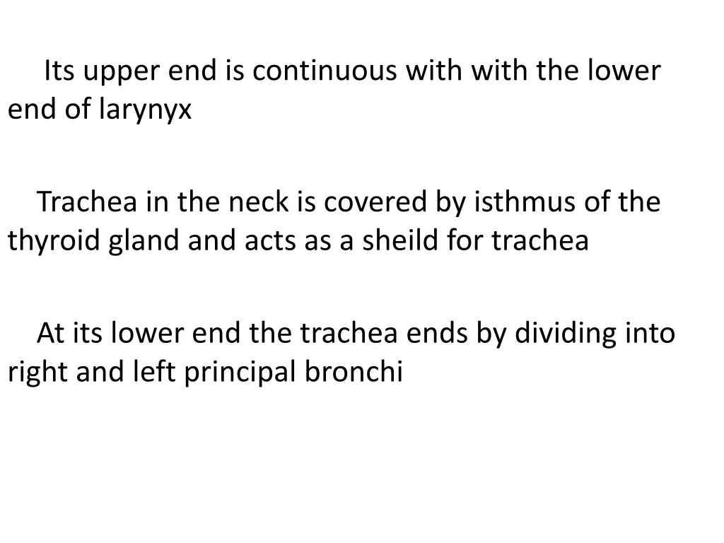 its upper end is continuous with with the lower