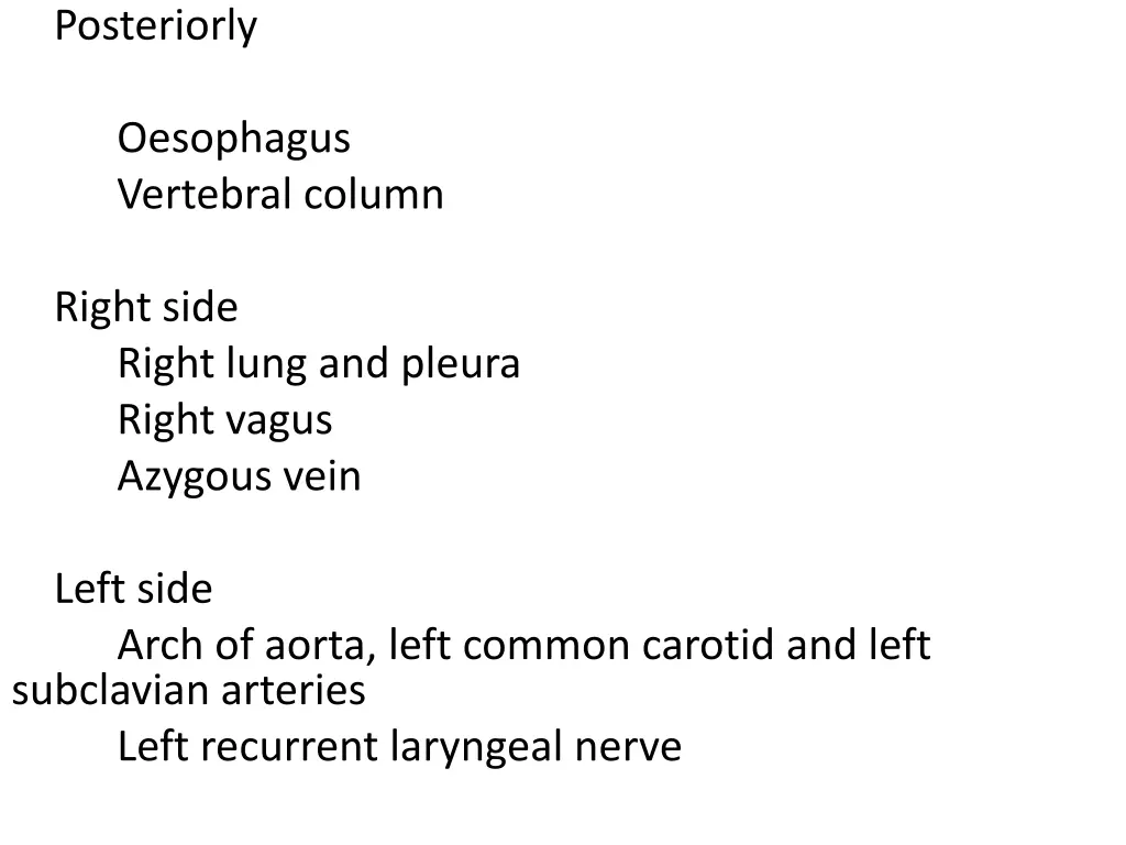 posteriorly