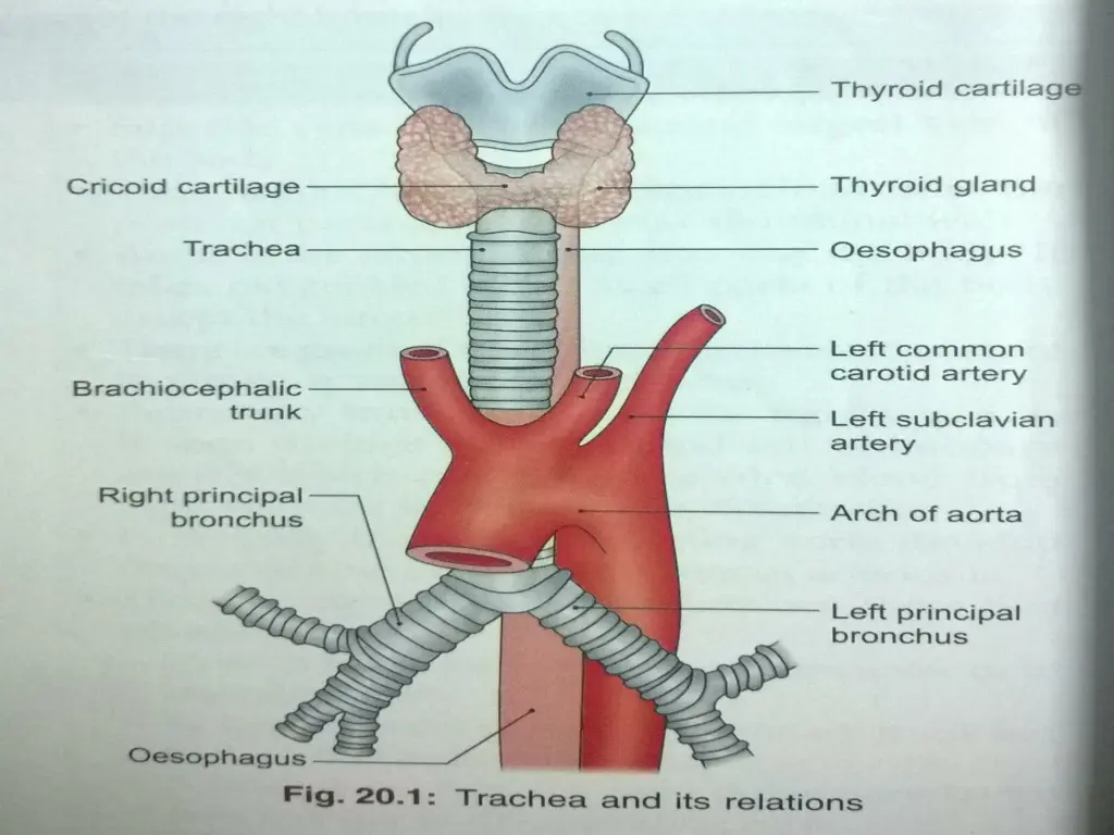 slide7