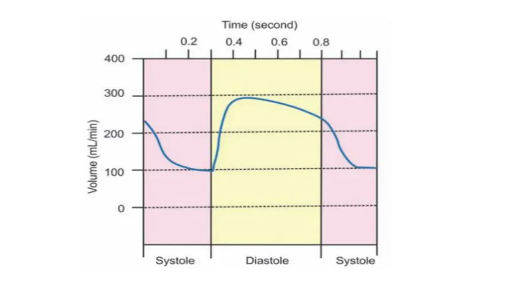 slide7