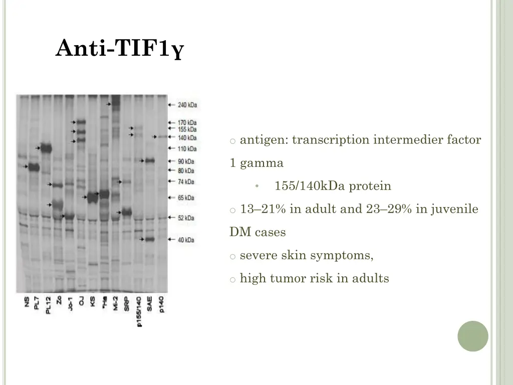 anti tif1