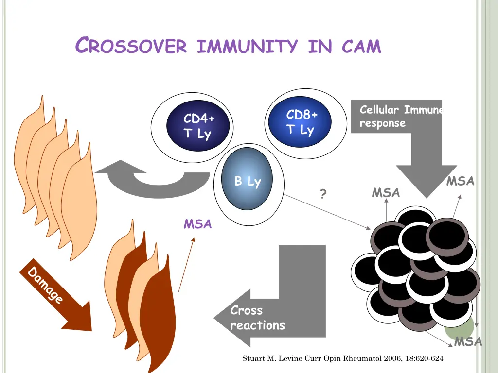 c rossover immunity in cam