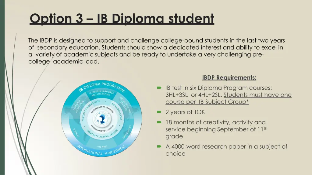 option 3 ib diploma student