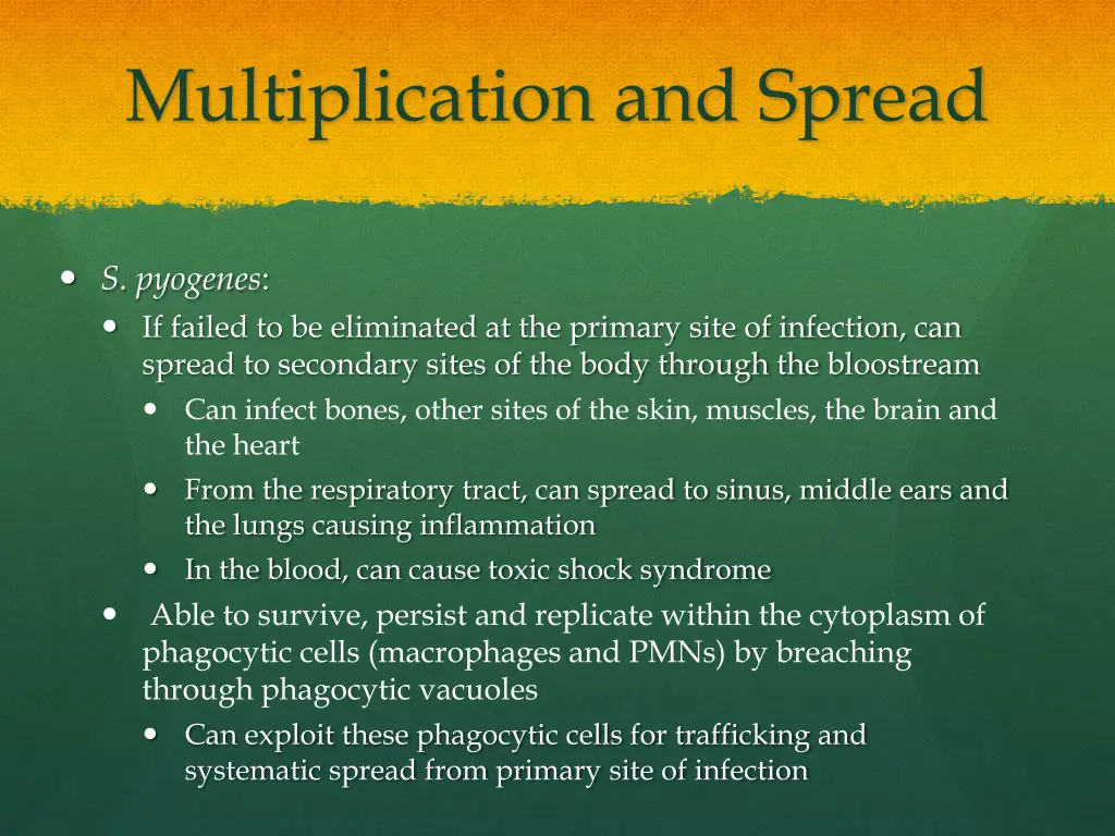multiplication and spread 2