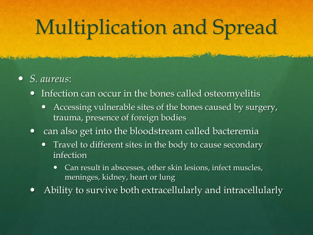 multiplication and spread