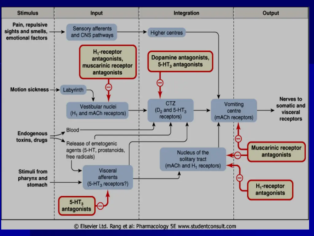 slide11