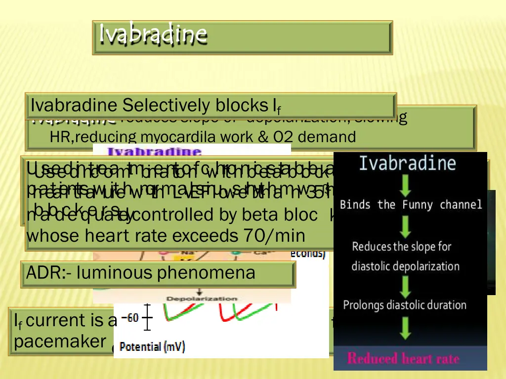 ivabradine ivabradine