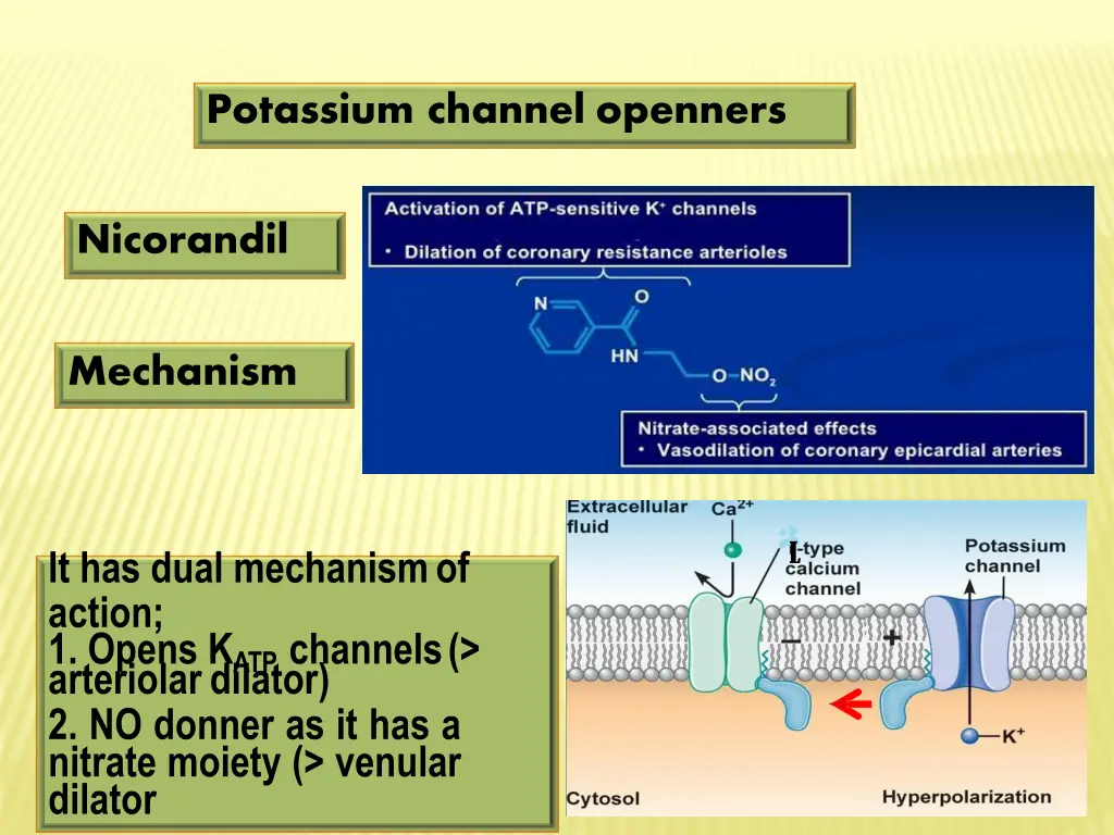 potassium channel openners