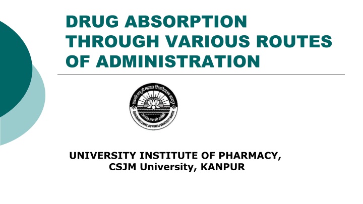 drug absorption through various routes