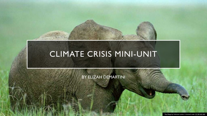 climate crisis mini unit