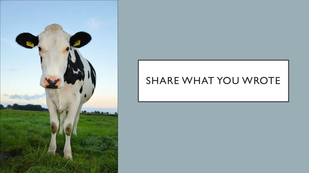 share what you wrote