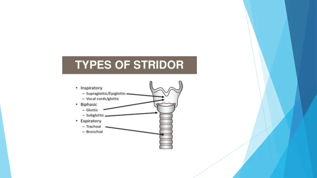 slide3