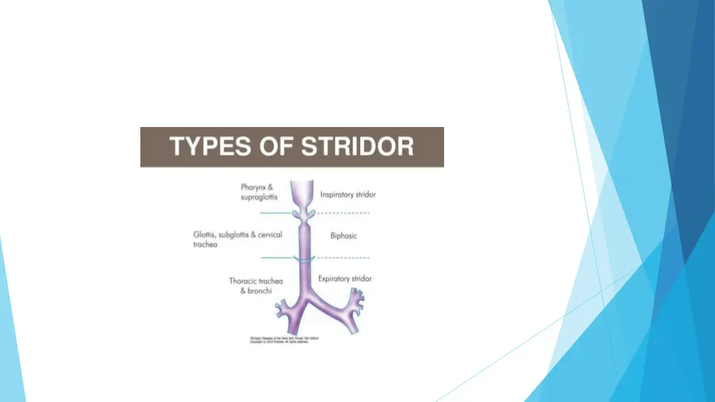 slide4