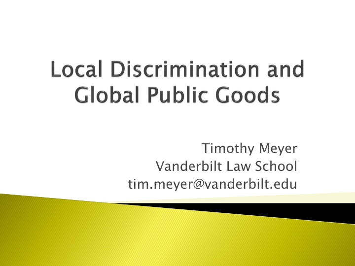 timothy meyer vanderbilt law school