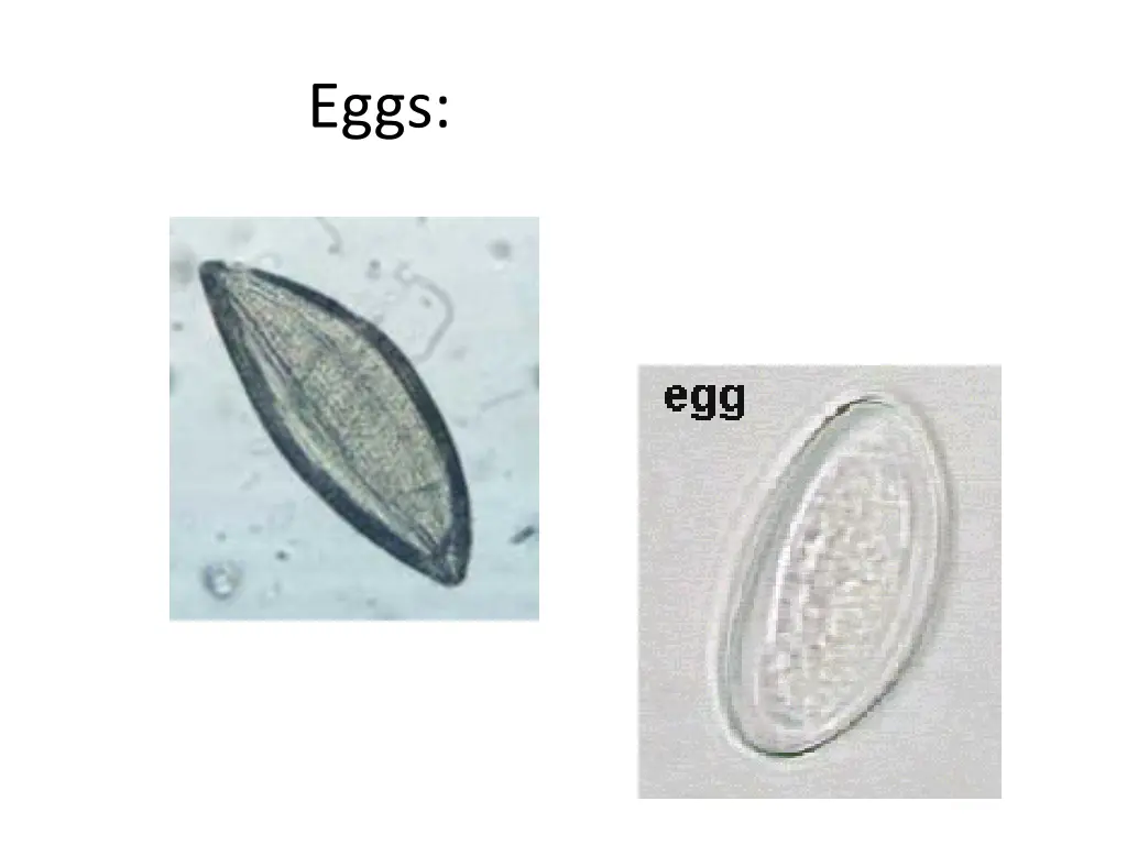 slide5