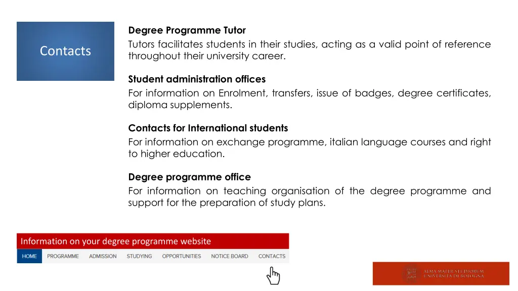 degree programme tutor tutors facilitates