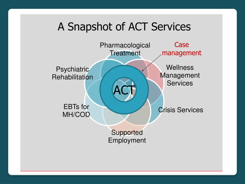a snapshot of act services