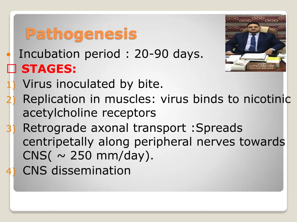 pathogenesis incubation period 20 90 days stages