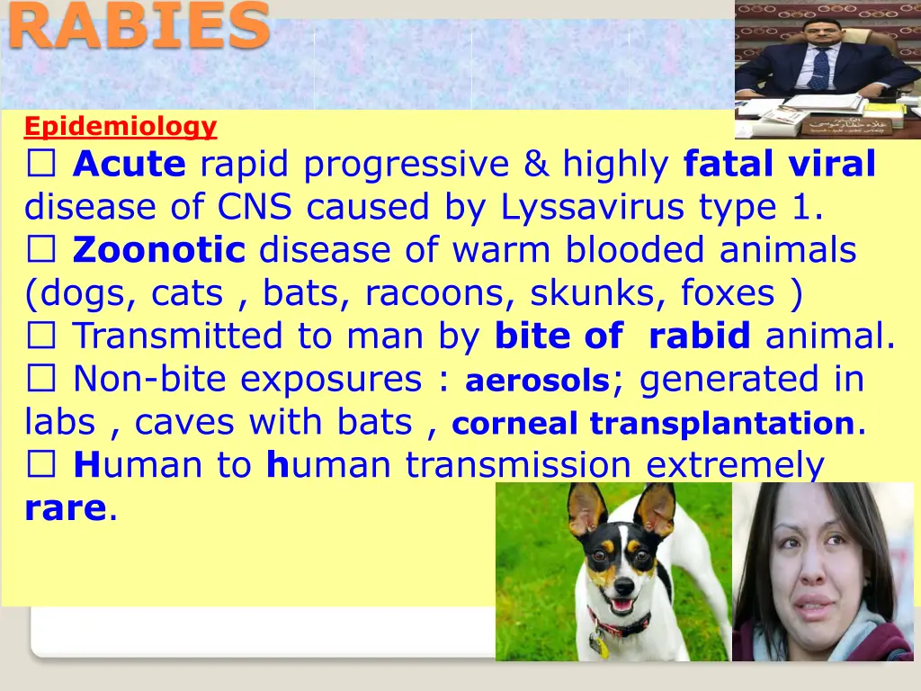 rabies