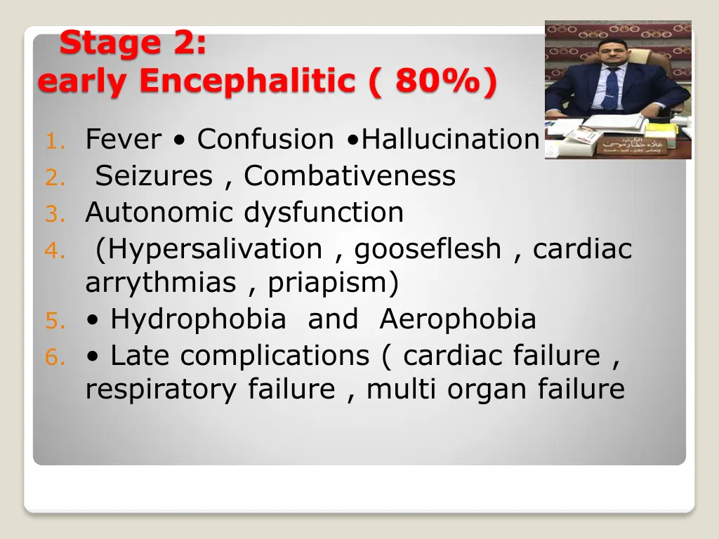 stage 2 early encephalitic 80