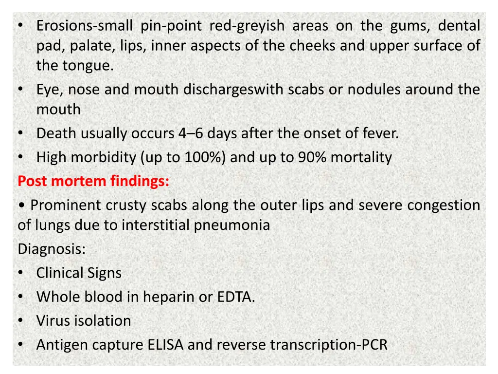 erosions small pin point red greyish areas