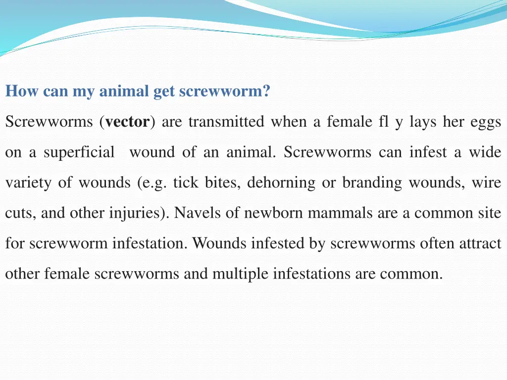 how can my animal get screwworm
