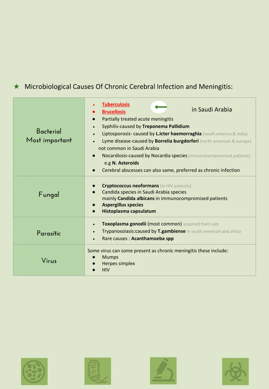 microbiological causes of chronic cerebral