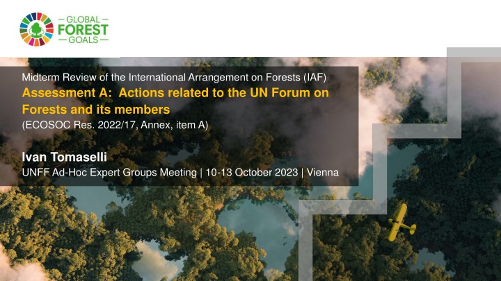 midterm review of the international arrangement