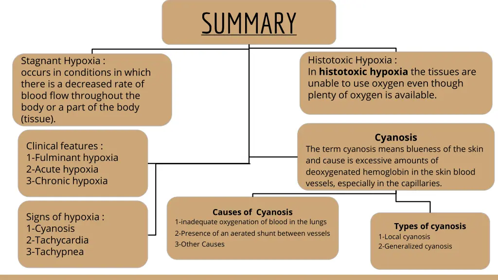 summary 1