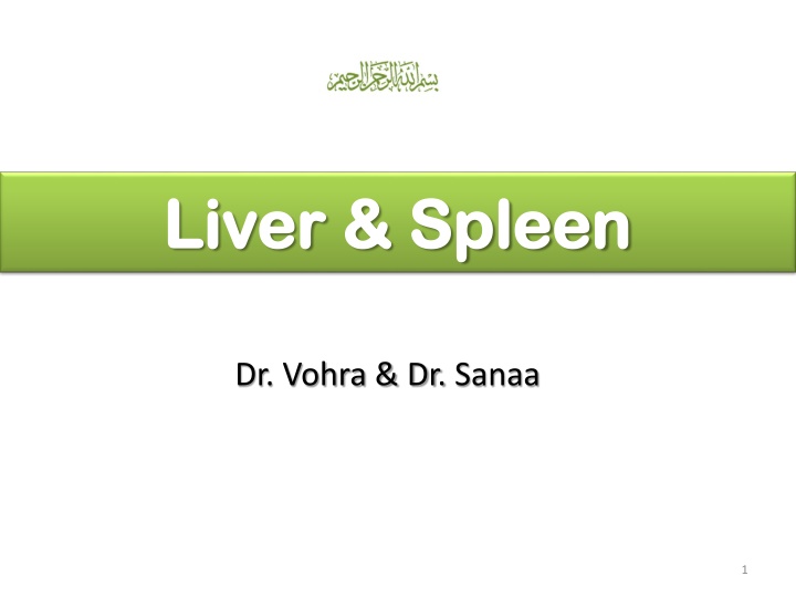 liver spleen liver spleen